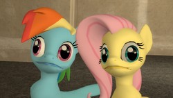 Size: 1920x1080 | Tagged: safe, artist:pointpony, fluttershy, rainbow dash, g4, :|, faic, gmod, me gusta, reaction image, wat