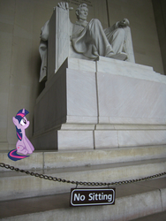 Size: 1536x2048 | Tagged: safe, twilight sparkle, g4, abraham lincoln, anarchist, first world anarchist, fuck the police, lincoln memorial, ponies in real life, pure unfiltered evil, sign, smash the system, text