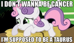 Size: 1040x605 | Tagged: safe, edit, edited screencap, screencap, sweetie belle, pony, unicorn, g4, caption, female, filly, frown, hay bale, horoscope, image macro, meme, prone, sad, solo, taurus, text, zodiac sign