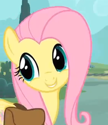 Size: 282x325 | Tagged: safe, screencap, fluttershy, pony, g4, just for sidekicks, cute, smiling