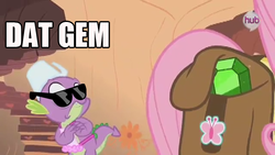 Size: 640x360 | Tagged: safe, fluttershy, spike, g4, just for sidekicks, my little pony: friendship is magic, gem, glasses