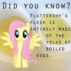 Size: 1280x1280 | Tagged: safe, fluttershy, g4, cute, did you know, shyabetes