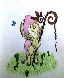 Size: 500x606 | Tagged: safe, artist:raonddooggung, fluttershy, g4, traditional art