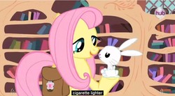 Size: 852x469 | Tagged: safe, screencap, angel bunny, fluttershy, g4, just for sidekicks, lighter, youtube caption