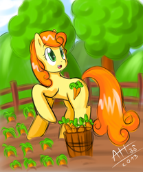 Size: 750x900 | Tagged: safe, artist:average-hanzo, carrot top, golden harvest, earth pony, pony, g4, adventure in the comments, carrot, female, fence, garden, solo
