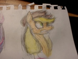 Size: 1024x768 | Tagged: safe, artist:leafdapple007, applejack, g4, photo, sketch