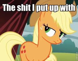 Size: 441x347 | Tagged: safe, applejack, earth pony, pony, g4, female, image macro, solo