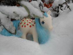 Size: 1024x768 | Tagged: safe, sugarberry, pony, g1, irl, photo, solo, toy