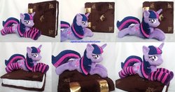 Size: 1235x646 | Tagged: safe, artist:agatrix, twilight sparkle, pony, g4, book, clothes, elements of harmony, irl, photo, plushie, socks, solo, striped socks