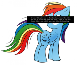 Size: 1280x1066 | Tagged: safe, rainbow dash, g4, meta, pony confession, you don't say