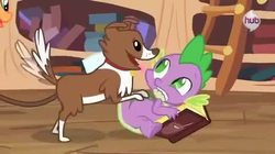 Size: 480x268 | Tagged: safe, screencap, spike, winona, dog, dragon, g4, just for sidekicks, my little pony: friendship is magic, book, lip bite, male, out of context