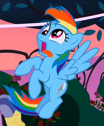 Size: 330x400 | Tagged: safe, screencap, rainbow dash, g4, sweet and elite, animation error, derp, dizzy, flying, solo focus, spread wings, tongue out