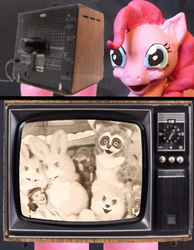 Size: 699x900 | Tagged: safe, pinkie pie, bear, human, rabbit, raccoon, g4, creepy, exploitable meme, tv meme