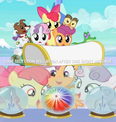 Size: 572x598 | Tagged: safe, apple bloom, gummy, opalescence, owlowiscious, scootaloo, sweetie belle, tank, winona, g4