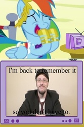 Size: 564x848 | Tagged: safe, rainbow dash, human, pegasus, pony, g4, excited, exploitable meme, female, irl, irl human, male, mare, nostalgia critic, photo, tgwtg, tv meme