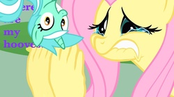 Size: 1000x561 | Tagged: safe, edit, edited screencap, screencap, fluttershy, lyra heartstrings, a bird in the hoof, g4, crying, hand, irrational exuberance, smiling