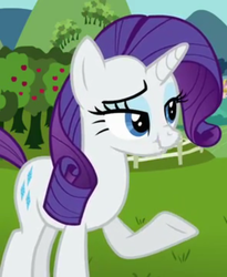 Size: 531x646 | Tagged: safe, screencap, rarity, g4, scrunchy face