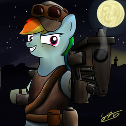 Size: 894x894 | Tagged: safe, rainbow dash, g4, crossover, fallout, gun