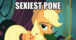 Size: 623x332 | Tagged: safe, edit, edited screencap, screencap, applejack, earth pony, pony, g4, spike at your service, bedroom eyes, butt, caption, female, image macro, mare, meme, plot, sexiest pony alive