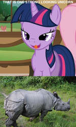 Size: 700x1168 | Tagged: safe, edit, edited screencap, screencap, twilight sparkle, pony, rhinoceros, unicorn, g4, bedroom eyes, female, image macro, mare, unicorn twilight