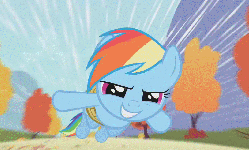 Size: 1066x643 | Tagged: safe, screencap, rainbow dash, pony, fall weather friends, g4, animated, bound wings, female, flying, looking at you, shaking, solo