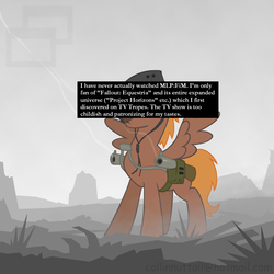 Size: 1280x1280 | Tagged: safe, oc, oc only, fallout equestria, meta, pony confession, text