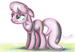 Size: 2327x1627 | Tagged: safe, artist:patoriotto, cheerilee, earth pony, pony, g4, female, pixiv, sketch, solo, traditional art