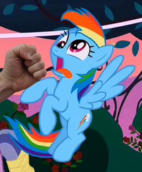 Size: 660x800 | Tagged: safe, edit, edited screencap, screencap, rainbow dash, pegasus, pony, g4, abuse, dashabuse, derp, female, fist, mare, punch