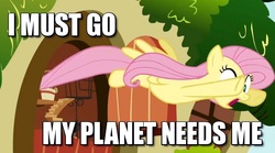 Size: 597x331 | Tagged: safe, edit, edited screencap, screencap, fluttershy, pony, g4, putting your hoof down, female, i must go, image macro, solo