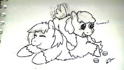 Size: 1280x722 | Tagged: safe, artist:fluffsplosion, fluffy pony, fluffy pony original art, sketch