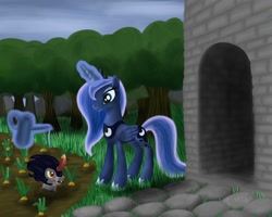 Size: 1000x800 | Tagged: safe, artist:polex-p, king sombra, princess luna, alicorn, pony, g4, carrot, day, looking at each other, wat, watering can