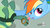 Size: 848x468 | Tagged: safe, rainbow dash, tank, g4, just for sidekicks, affection, kissing, licking
