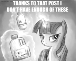 Size: 694x559 | Tagged: safe, artist:fongsaunder, twilight sparkle, g4, brain bleach, image macro, reaction image