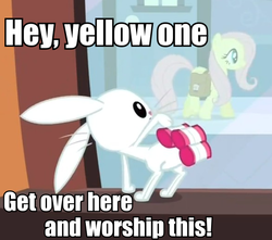 Size: 586x519 | Tagged: safe, angel bunny, fluttershy, g4, just for sidekicks, hair curlers, image macro