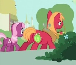 Size: 343x294 | Tagged: safe, screencap, big macintosh, cheerilee, earth pony, pony, g4, just for sidekicks, butt, cropped, duo, female, flowerbutt, male, mare, mouth hold, plot, ponies standing next to each other, stallion