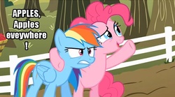 Size: 639x356 | Tagged: safe, pinkie pie, rainbow dash, g4, apple, image macro, meme, sweet apple acres, x x everywhere