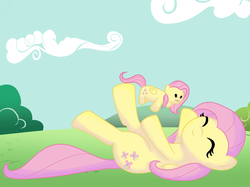 Size: 2592x1936 | Tagged: safe, artist:zoeezoee, fluttershy, g4, female, plushie