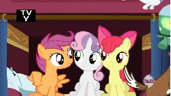 Size: 480x270 | Tagged: safe, edit, edited screencap, screencap, apple bloom, opalescence, scootaloo, sweetie belle, tank, winona, earth pony, pegasus, pony, unicorn, g4, just for sidekicks, adorabloom, animated, apple bloom's bow, bow, caption, cute, cutealoo, dialogue, diasweetes, female, filly, foal, hair bow, hub logo, hubble, meme, pillow, reaction image, sitting, smiling, trio focus, tv rating, tv-y