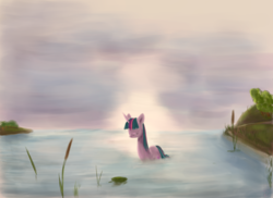 Size: 1024x745 | Tagged: safe, artist:triolli, twilight sparkle, g4, lake