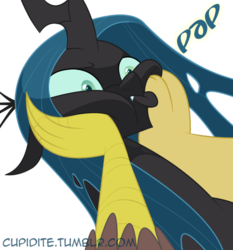 Size: 863x926 | Tagged: safe, artist:tarajenkins, discord, queen chrysalis, changeling, changeling queen, draconequus, cupidite, g4, fangs, female, frown, funny, male, simple background, squishy cheeks, transparent background