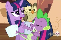 Size: 960x640 | Tagged: safe, screencap, owlowiscious, spike, twilight sparkle, g4, just for sidekicks