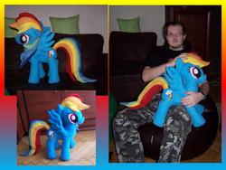 Size: 1024x768 | Tagged: safe, artist:darkcherry87, rainbow dash, human, g4, irl, photo, plushie, solo