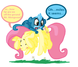 Size: 723x623 | Tagged: dead source, safe, artist:frankilew, fluttershy, mongoose, pegasus, pony, g4, acrophobia, crossover, duo, duo male and female, eyes closed, female, flying, littlest pet shop, male, mare, scared, simple background, spread wings, sunil nevla, transparent background, wings