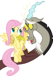 Size: 5000x7151 | Tagged: safe, artist:erccre147, discord, fluttershy, draconequus, pegasus, pony, g4, keep calm and flutter on, absurd resolution, duo, female, flying, frown, looking at each other, looking at someone, male, simple background, spread wings, transparent background, vector, wings