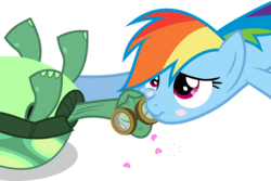 Size: 1295x865 | Tagged: safe, artist:canon-lb, rainbow dash, tank, pegasus, pony, tortoise, g4, just for sidekicks, duo, simple background, transparent background, vector