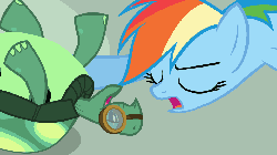Size: 960x540 | Tagged: safe, screencap, rainbow dash, tank, pegasus, pony, tortoise, g4, just for sidekicks, season 3, affection, animated, blushing, cute, daaaaaaaaaaaw, dashabetes, drool, duo, embarrassed, face licking, female, gif, gritted teeth, heart, licking, male, mare, nuzzling, on back, raised eyebrow, scrunchy face, tankabetes, tongue out, tsunderainbow, tsundere, weapons-grade cute