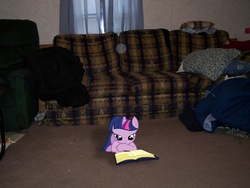 Size: 2832x2128 | Tagged: safe, twilight sparkle, g4, book, couch, ponies in real life, reading, solo