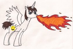 Size: 1024x695 | Tagged: safe, artist:midnacookies1425, oc, oc only, alicorn, pony, alicorn oc, fire