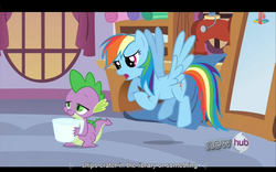 Size: 1024x640 | Tagged: safe, screencap, rainbow dash, spike, g4, just for sidekicks, letterboxing, meme, youtube caption