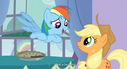 Size: 1593x871 | Tagged: safe, screencap, applejack, rainbow dash, earth pony, pegasus, pony, g4, spike at your service, female, mare, youtube caption, youtube link